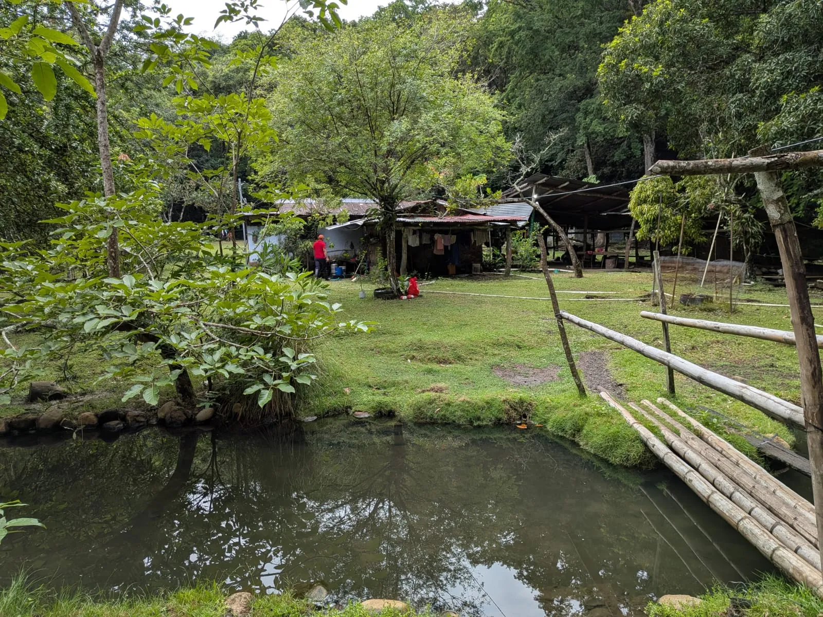 A farmhouse and pond beside the hot springs, showing the informal, rural character of the site