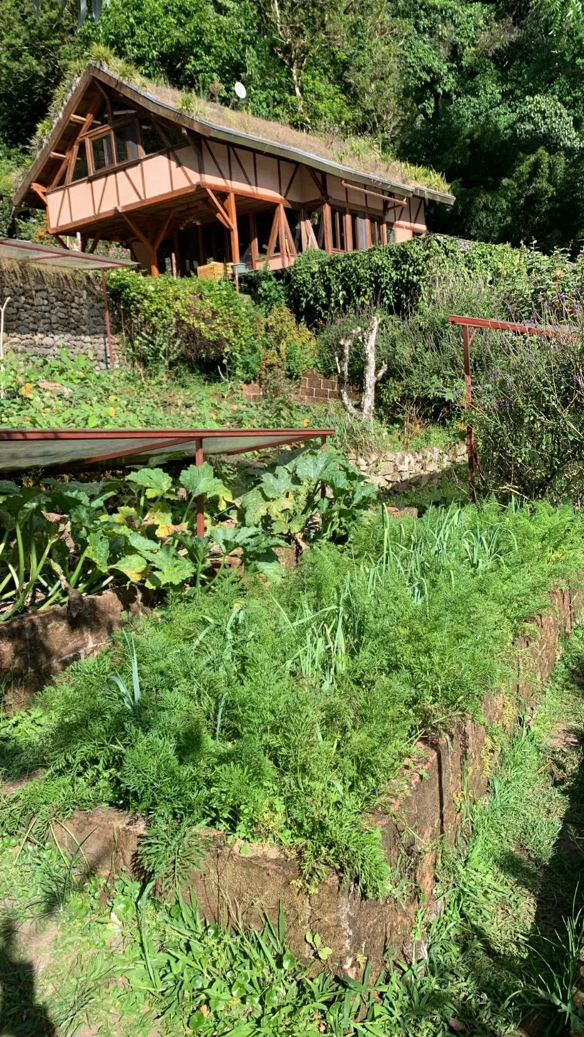 A bed of carrots and leeks below the lodge