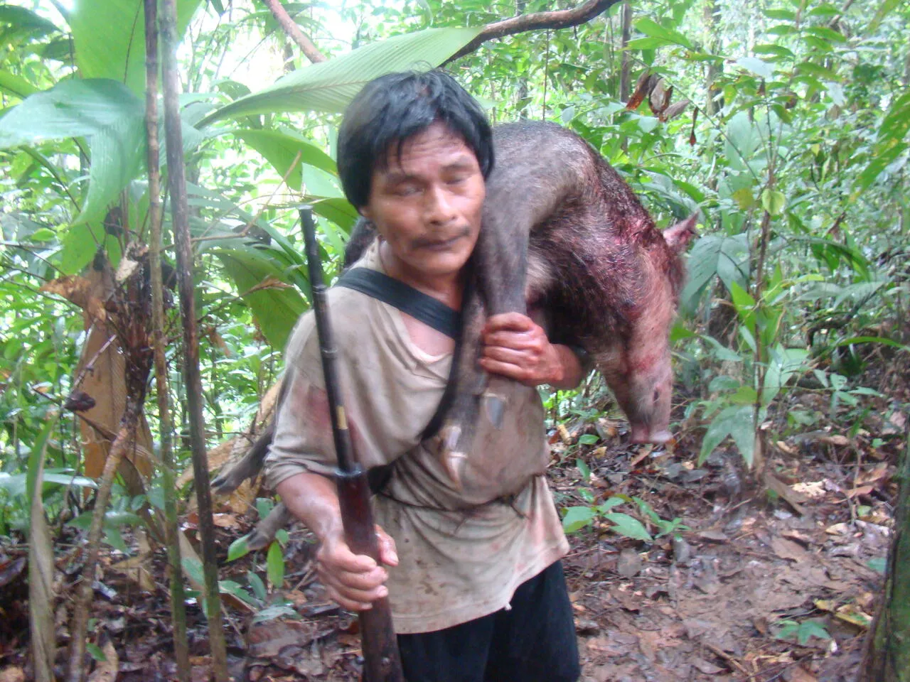 Following the Emberá hunters through the forest (16 of 33)