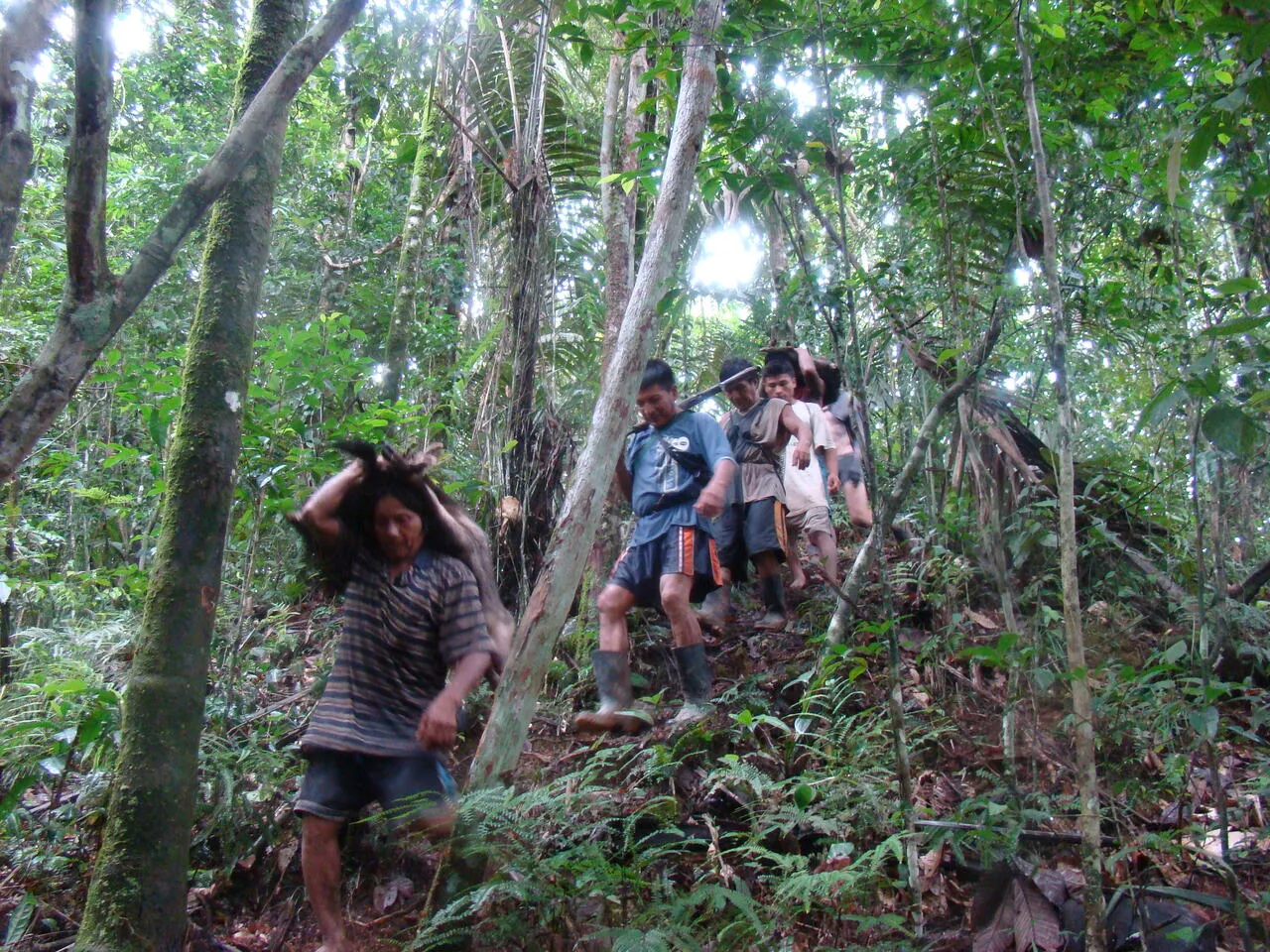 Tracking wild peccary through dense jungle (20 of 33)