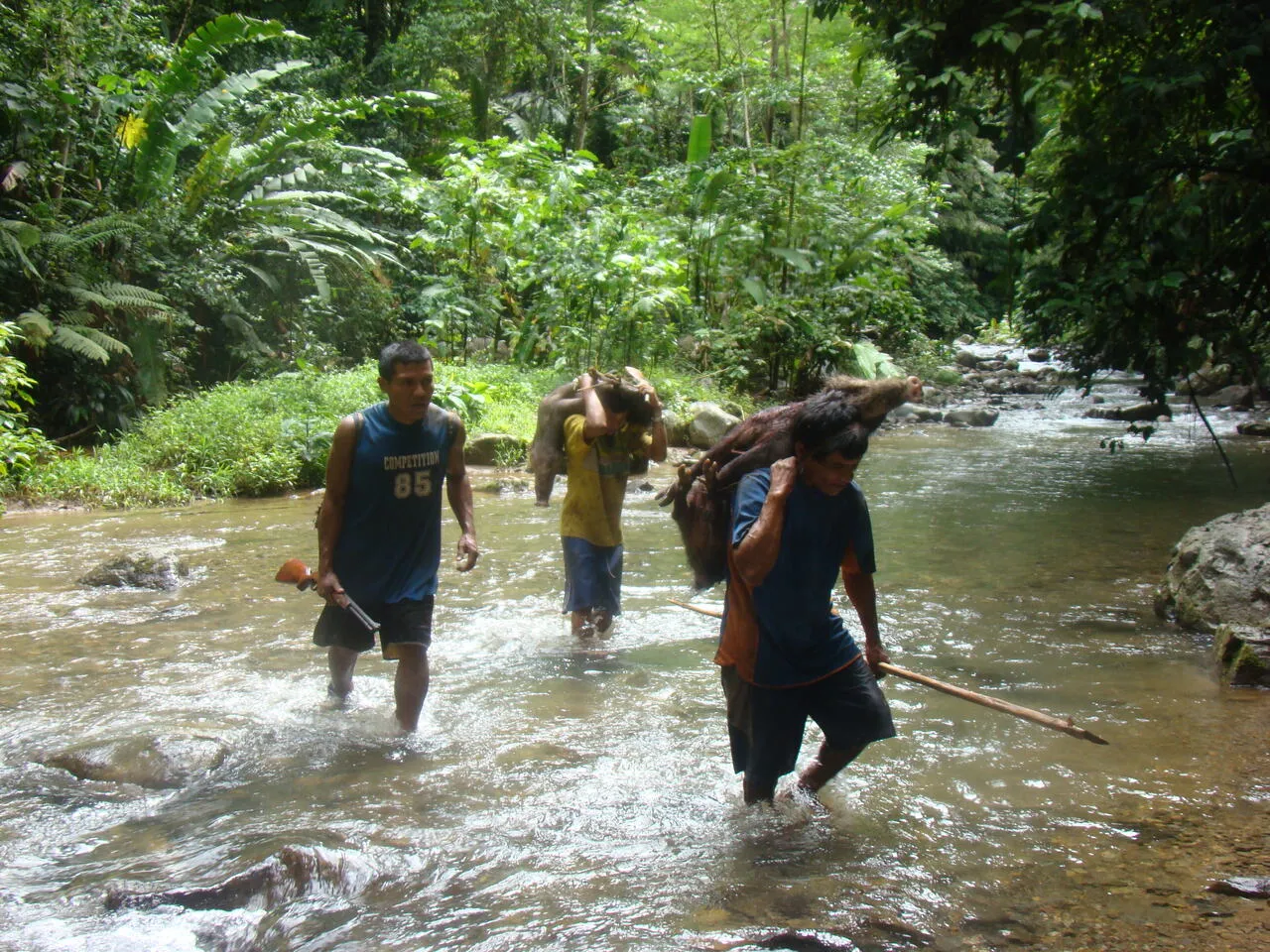 The jungle canopy along the Sambú River (22 of 33)