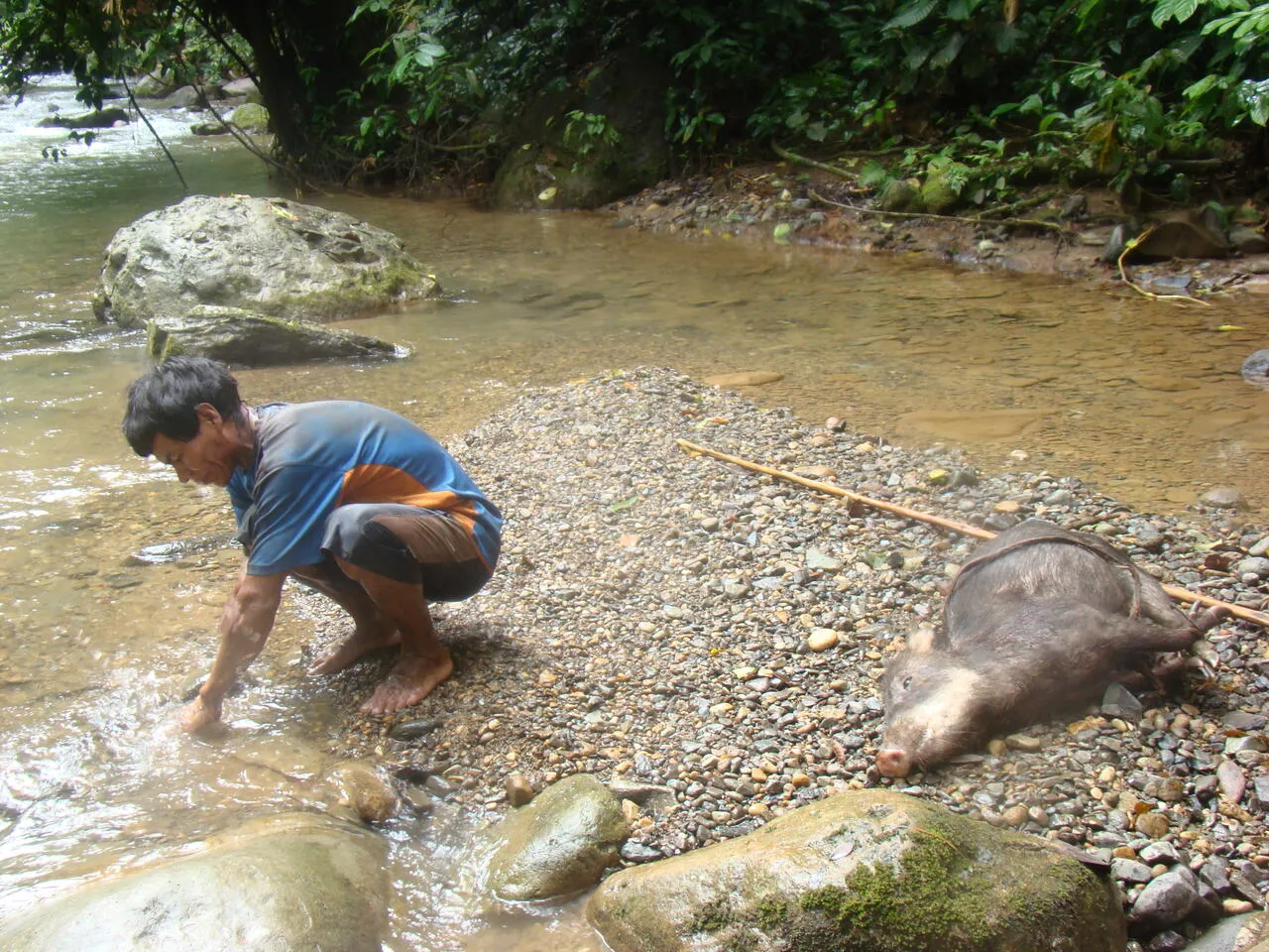 Piragua canoes on the riverbank (23 of 33)