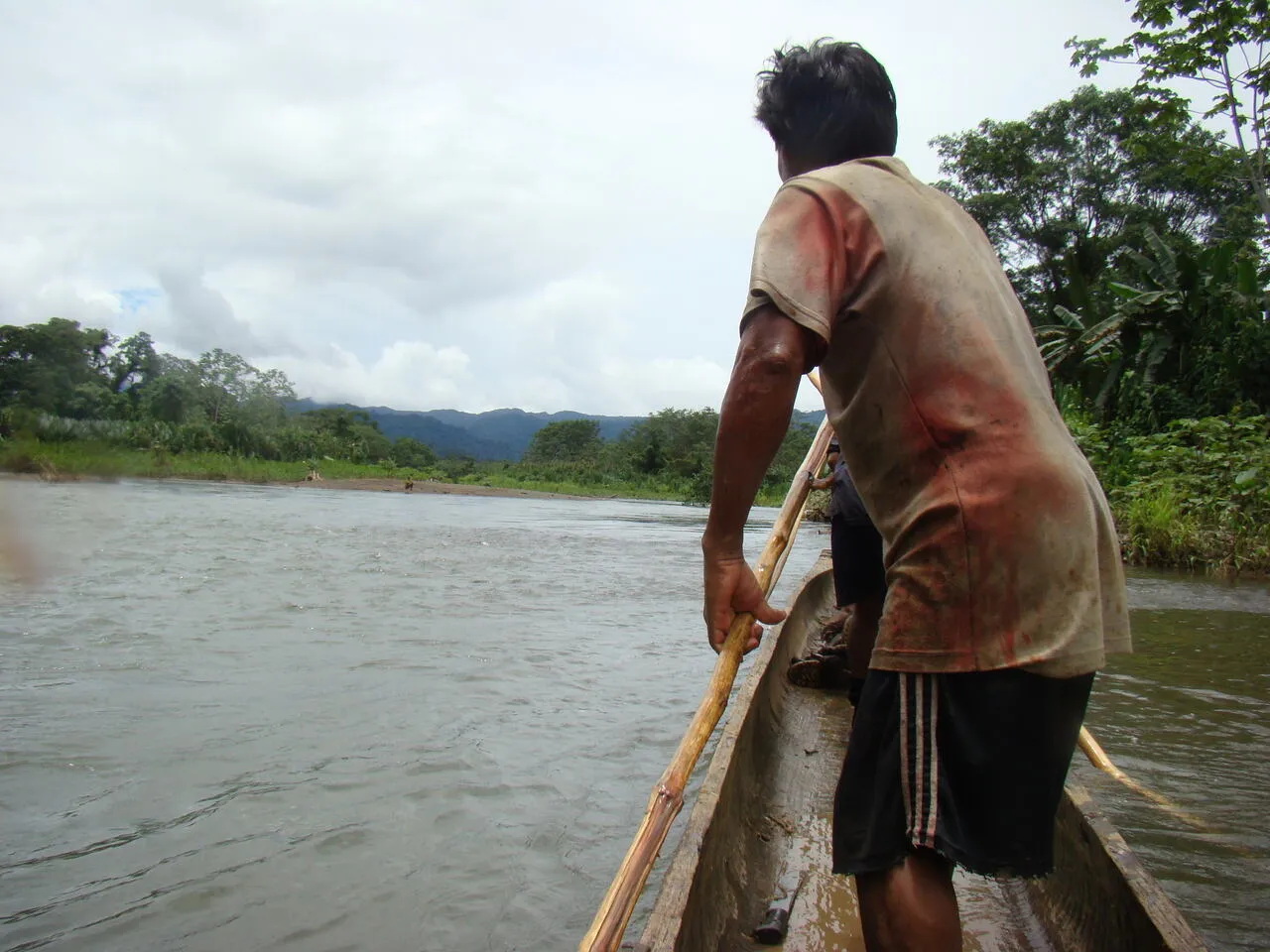 Tracking wild peccary through dense jungle (28 of 33)