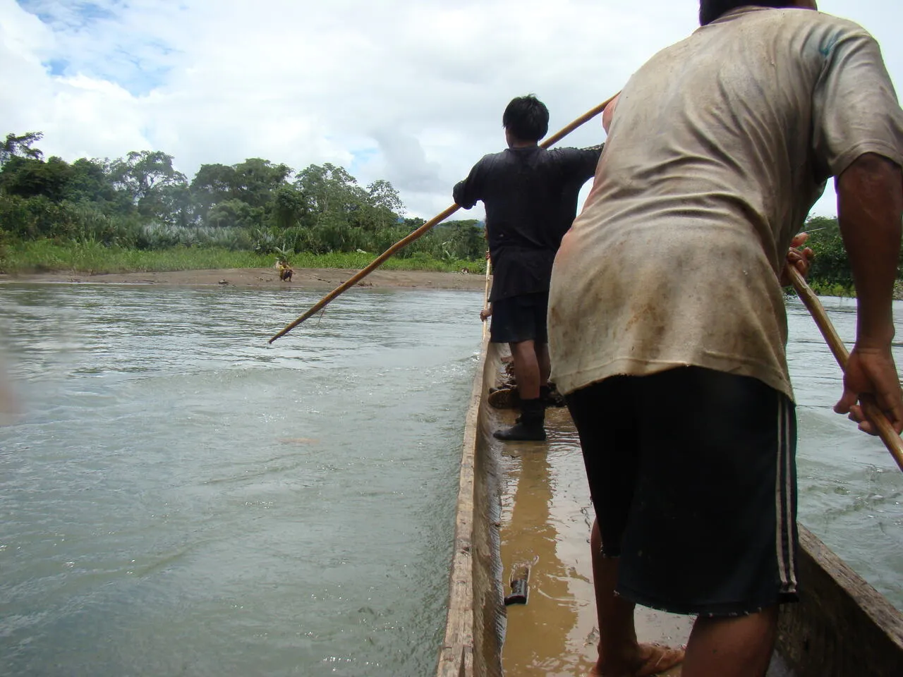 The jungle canopy along the Sambú River (30 of 33)