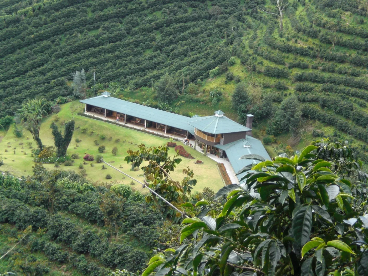 Finca Lérida, a coffee plantation founded in 1924 in the highlands above Boquete
