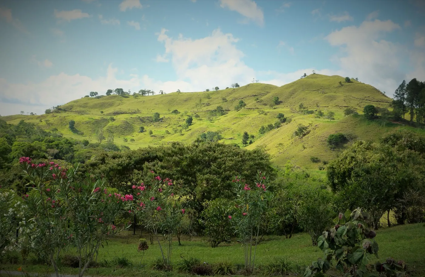View from the heights of the Finca Lérida plantation