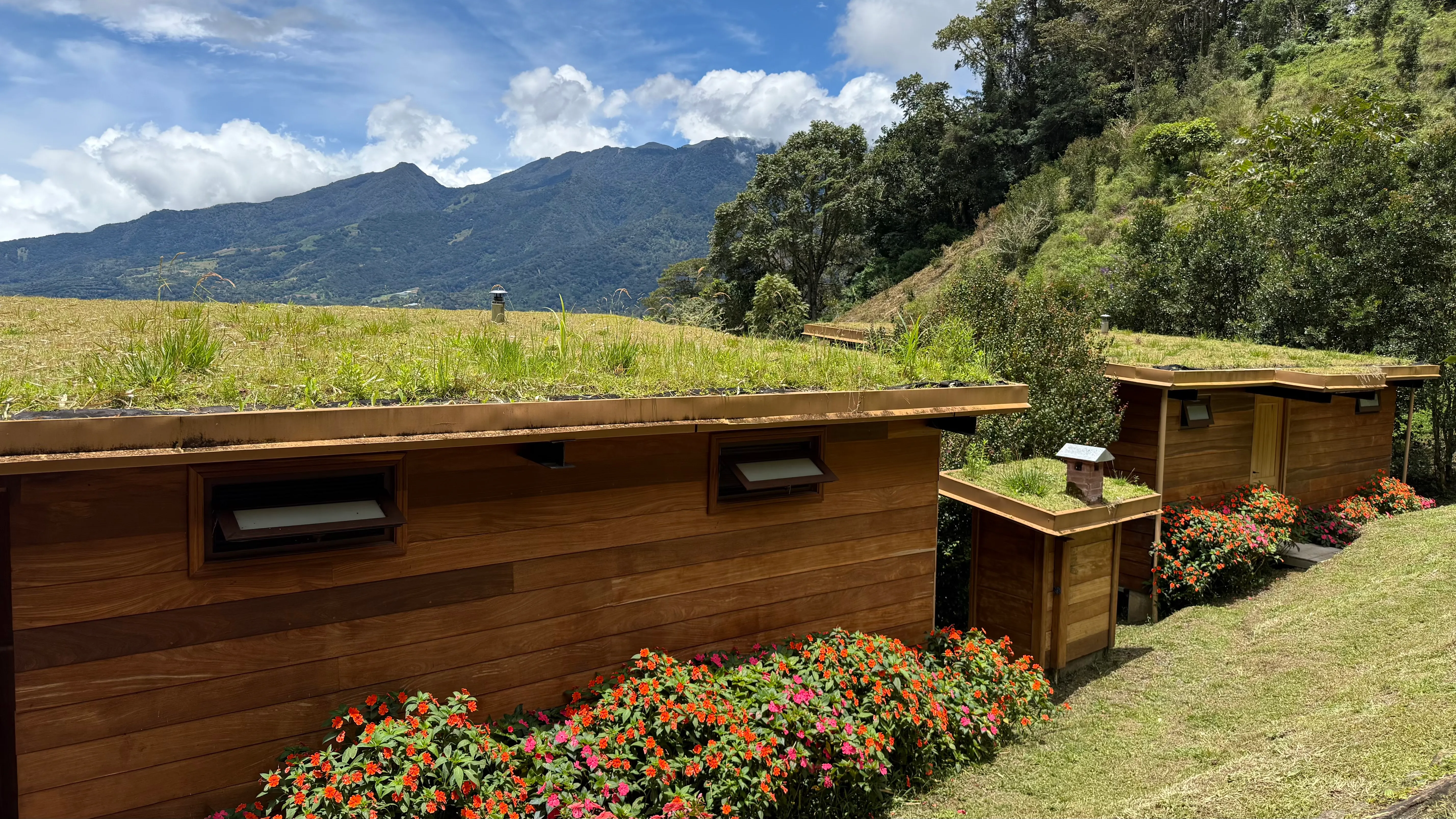 Cabin Jaguar living roof and wooden facade