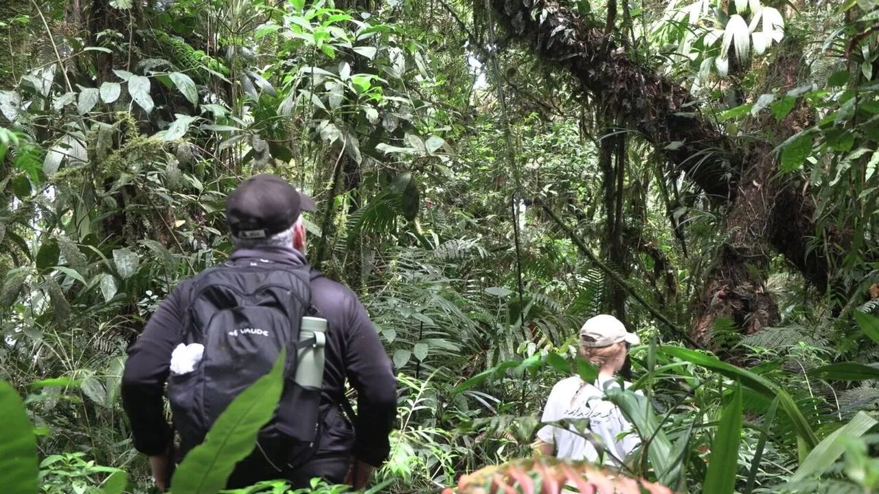 View across the Chiriquí highlands from the trail
