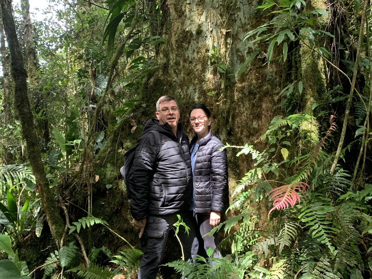 The trail winding deeper into the cloud forest