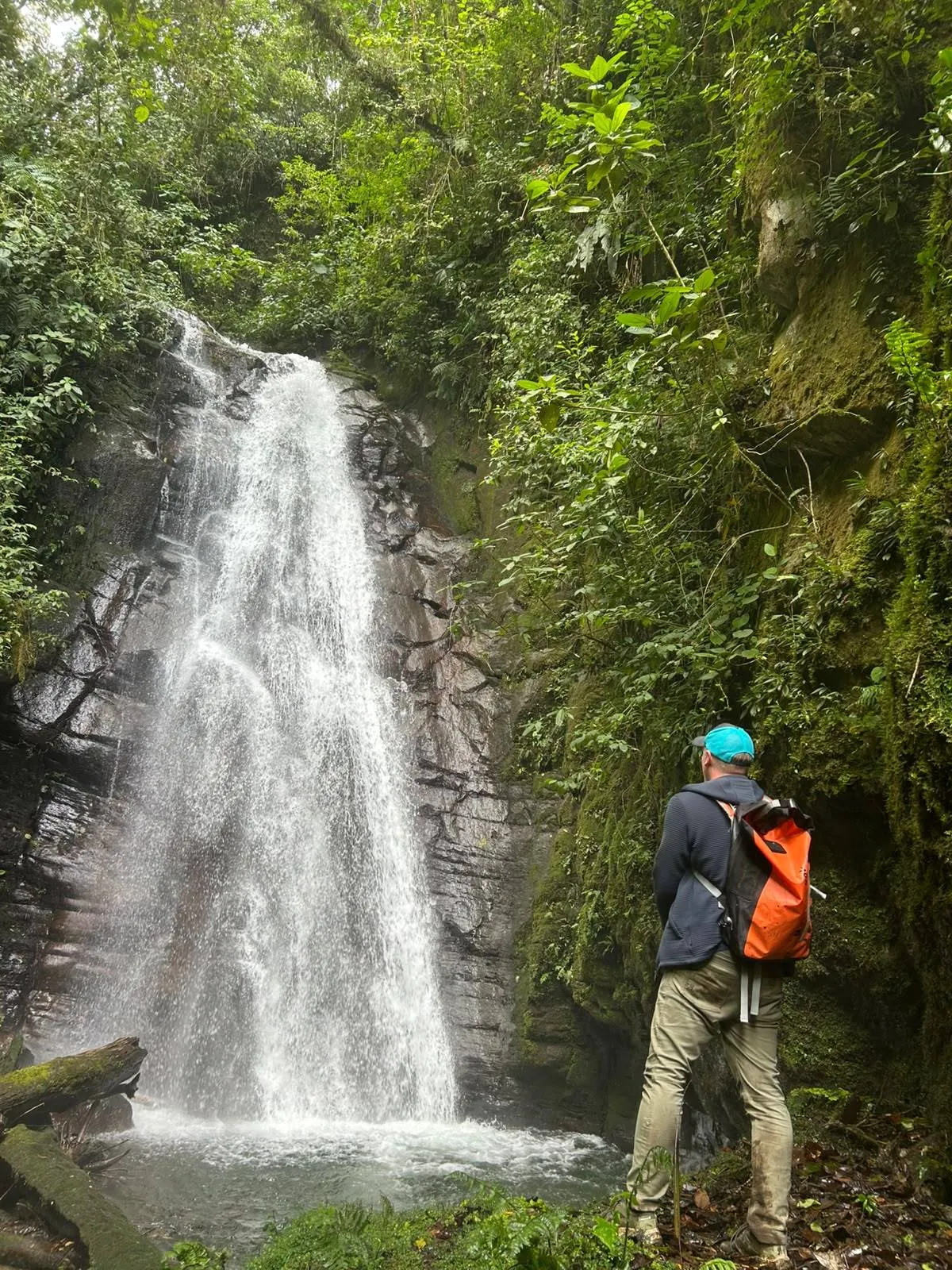 A hiker facing a waterfall deep in the cloud forest
