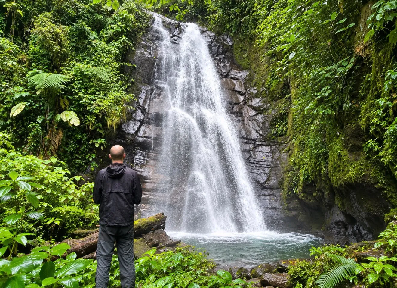 A waterfall pouring into a pool, framed by ferns and moss