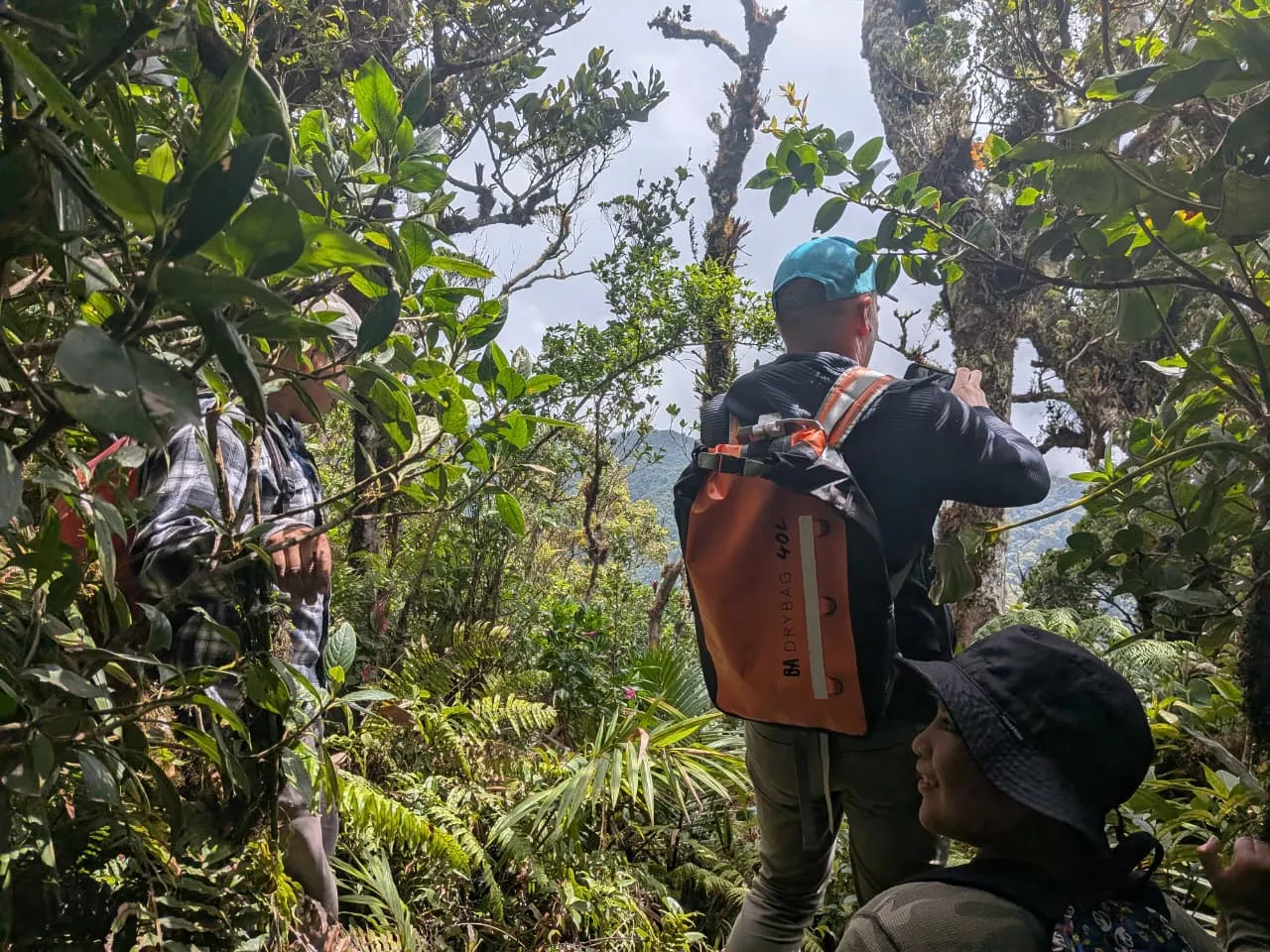 Hikers pausing at a lookout over the forested ridges