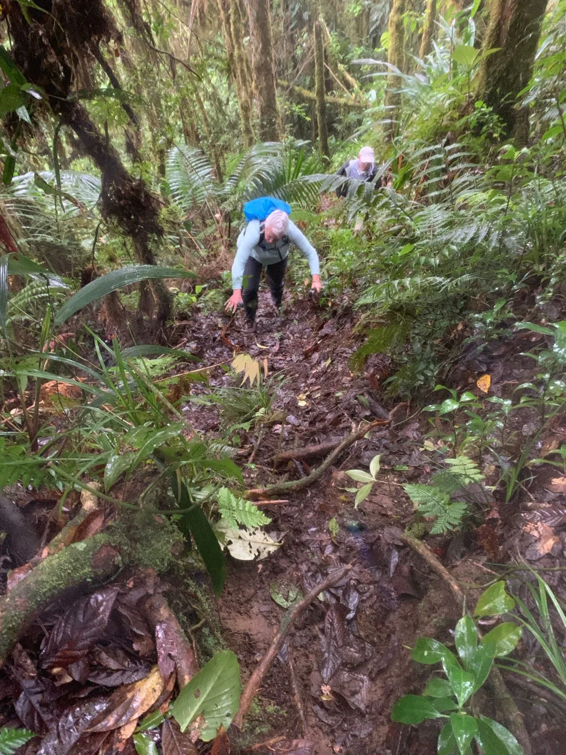 A hiker scrambling up a muddy, root-laced section of the trail