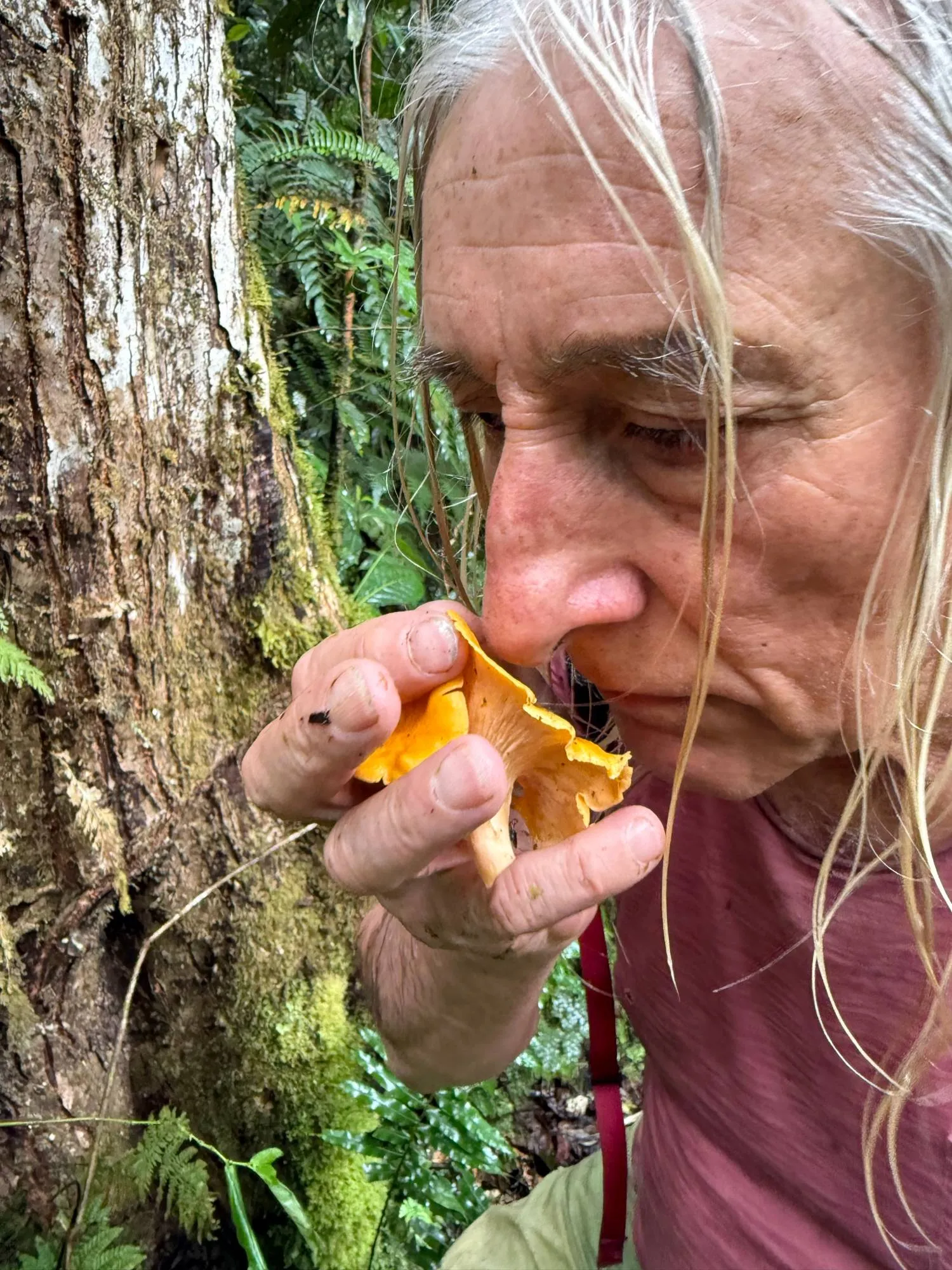 Smelling a wild chanterelle mushroom found along the trail