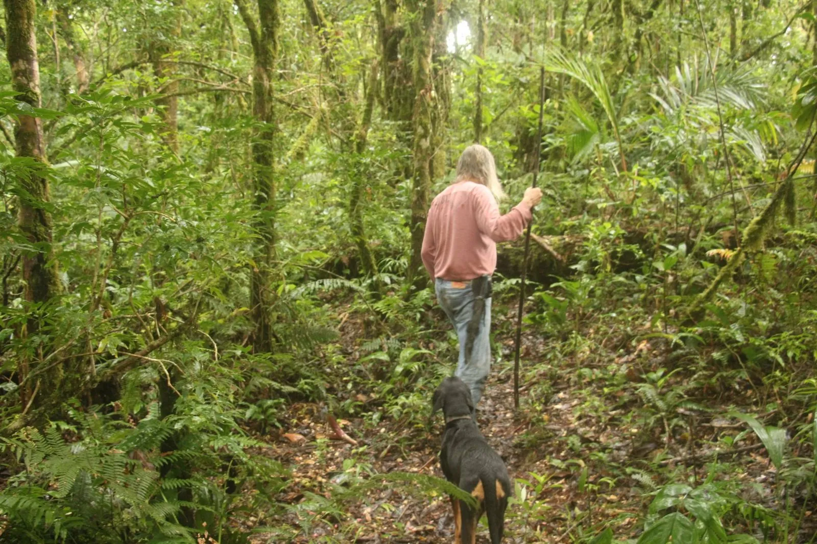 The guide walking ahead with his staff, the dog close behind