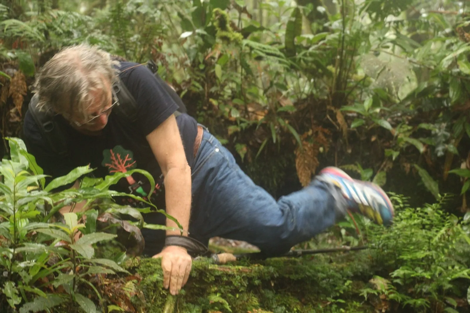 A hiker clambering over a mossy fallen log