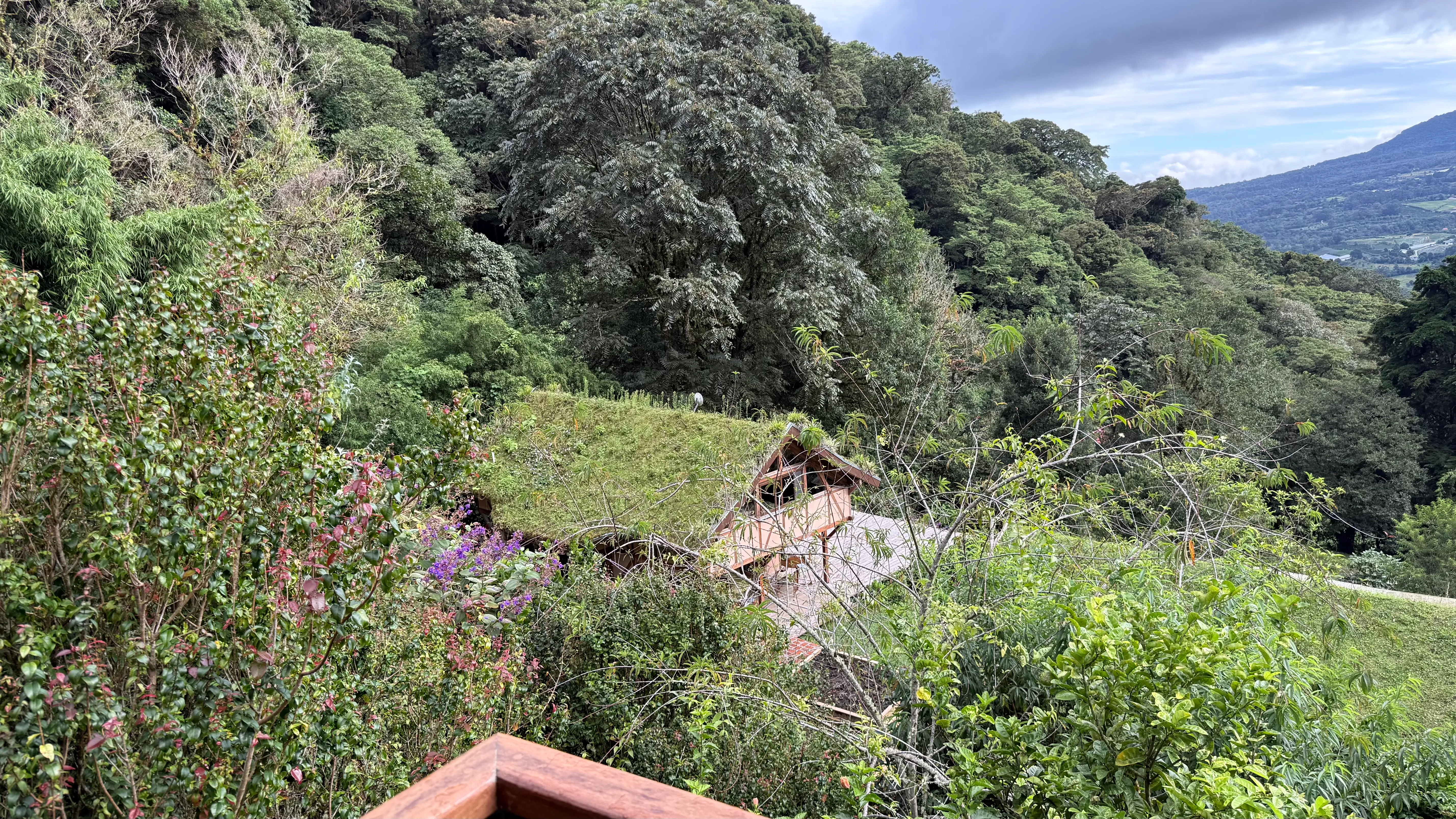 Cabin Jaguar exterior with living roof, seen from the cloud forest above