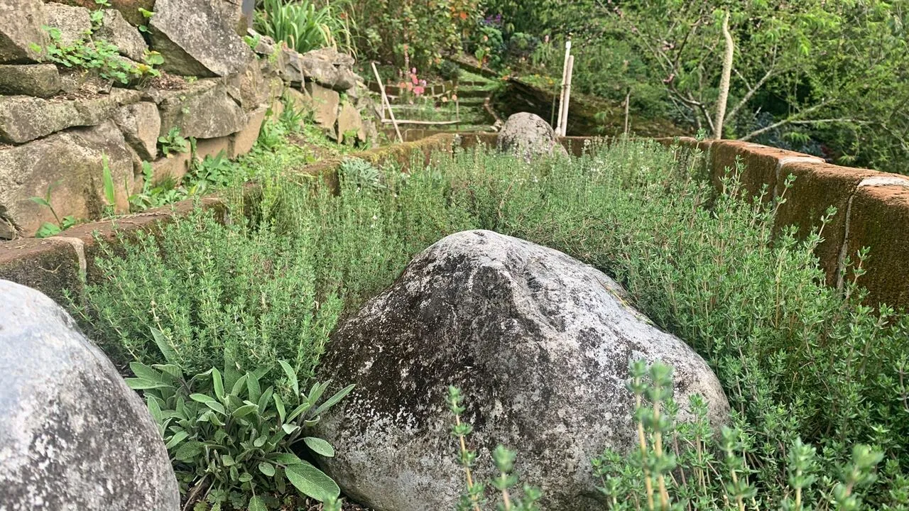 A stone-walled herb bed in the garden
