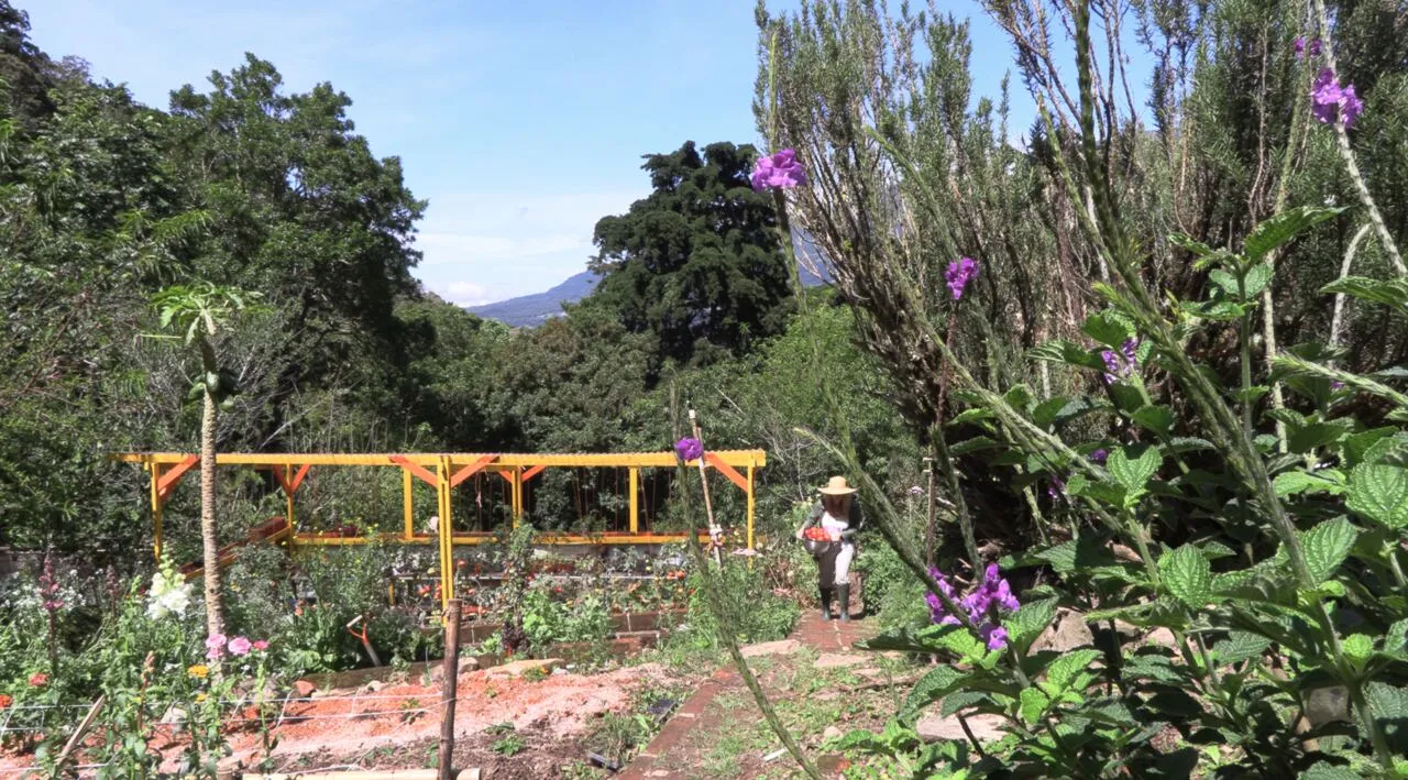 A trellis on one of the garden terraces