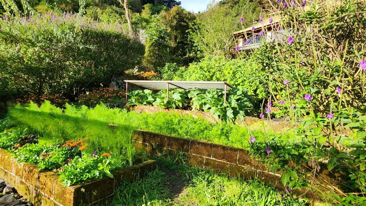 Flowering terraces in the garden
