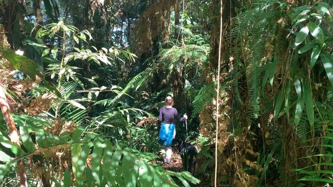 Hiking the cloud forest at Wild on the Farm