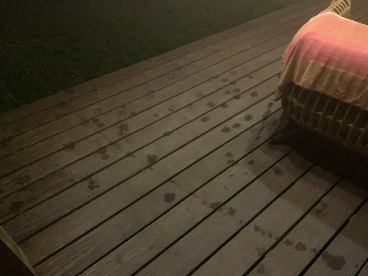 A second jaguar paw print on the terrace decking
