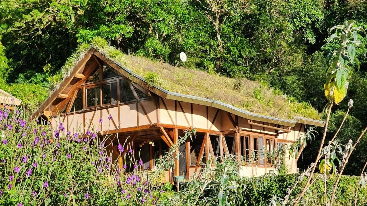 Overview of the cloud forest farm
