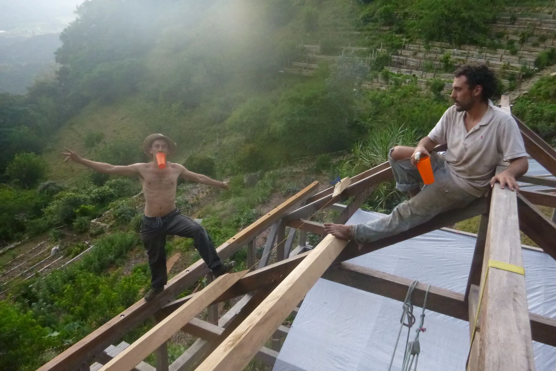 Building the living roof at Wild on the Farm, high above the terraced hillside