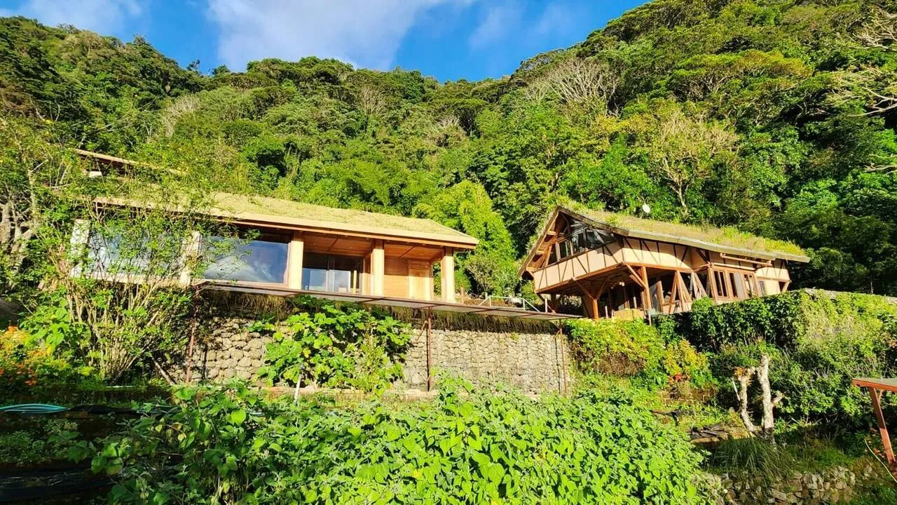 A living roof grown into the hillside at Wild on the Farm