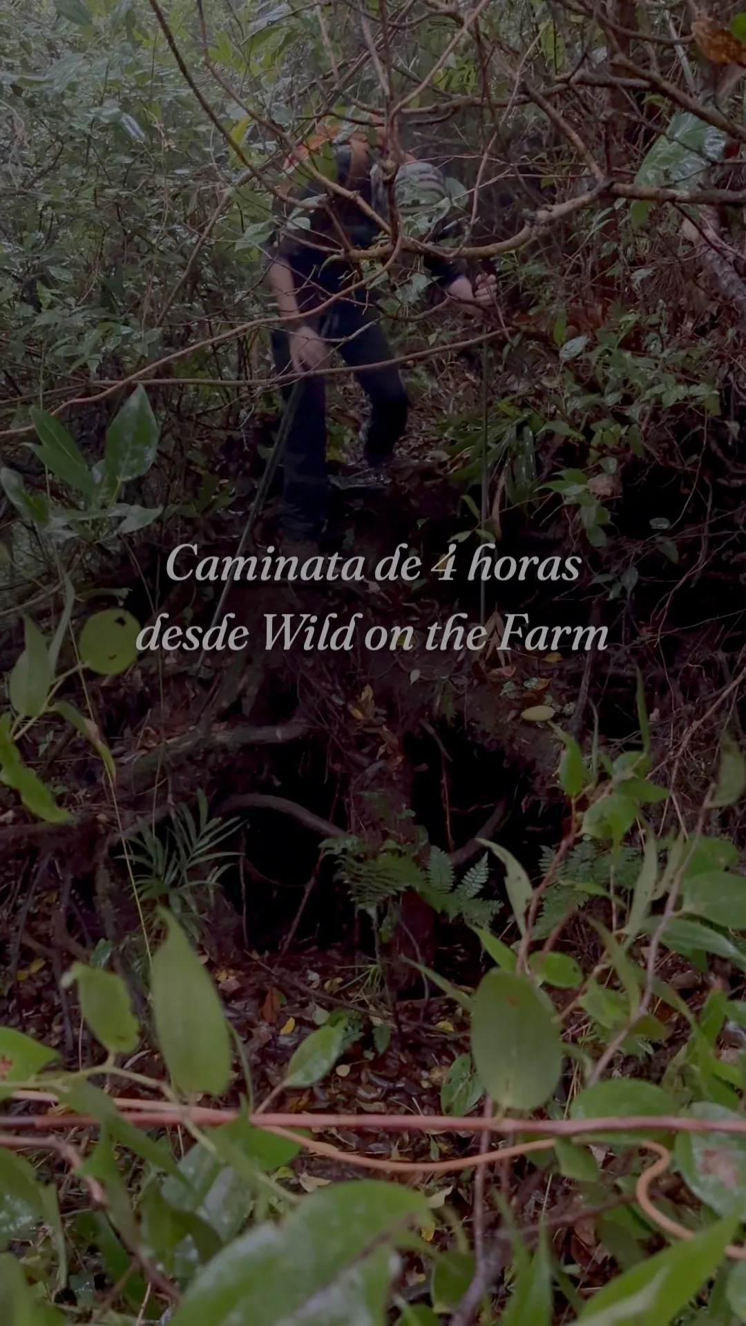 Video: caminata de 4 horas desde Wild on the Farm