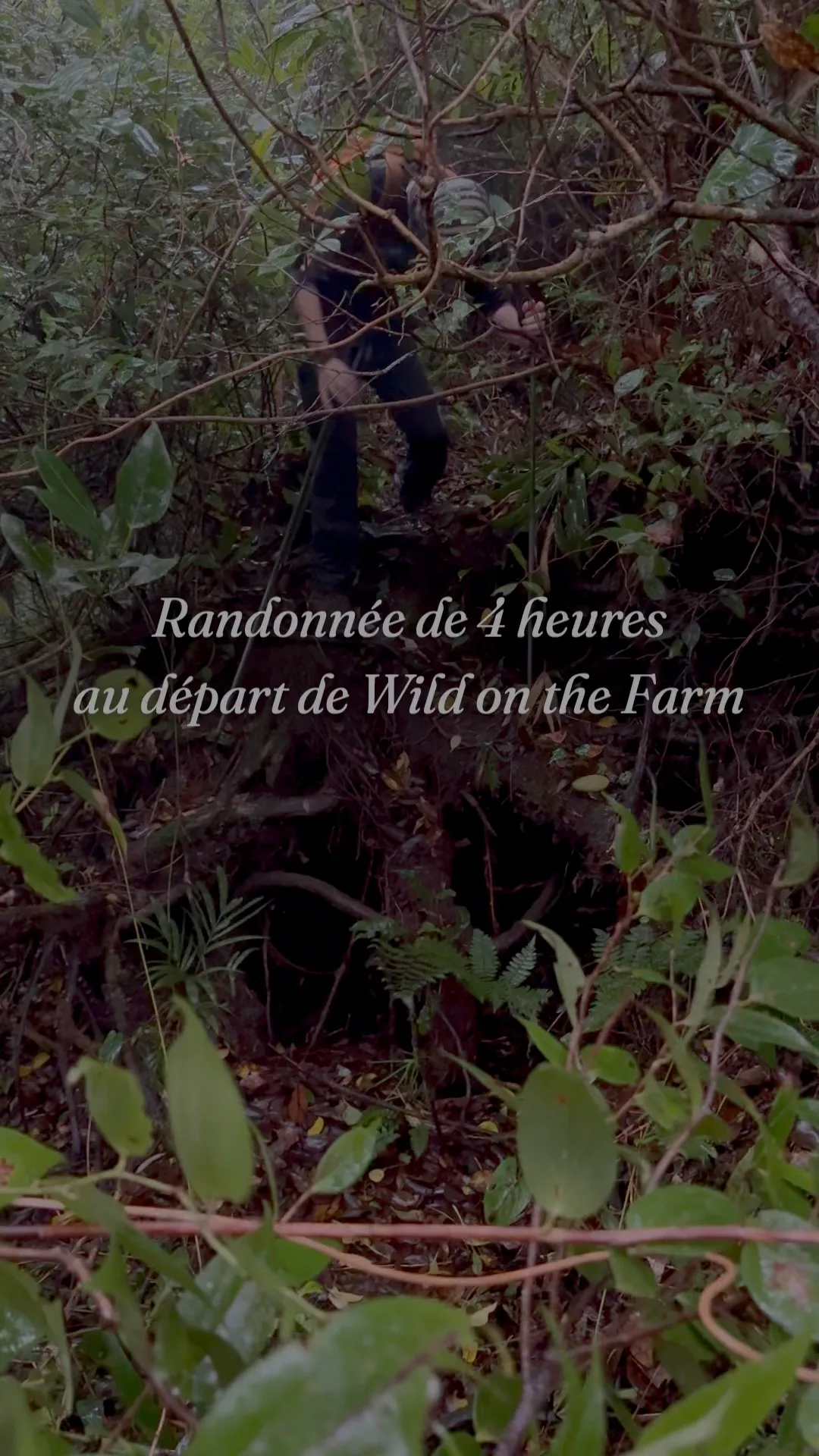 Vidéo : randonnée de 4 heures au départ de Wild on the Farm